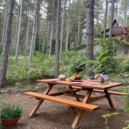 Natura Sport&relax Chalet *