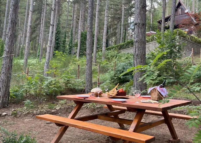 Natura Sport&relax 木屋 *